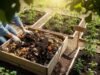 How to Make Organic Fertilizer at Home